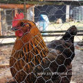 Galvanized Hexagonal Wire Mesh for Farm Chicken Mesh